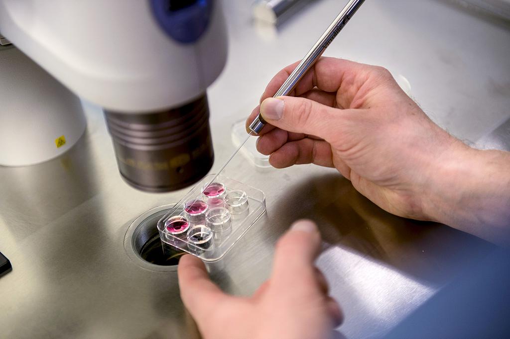 IVF IVF